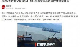 沙田媒体爆料案件最新,最新案件内幕曝光